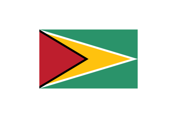 ガイアナ (Guyana)国旗のフリー素材、無料素材イラストダウンロード　ai png