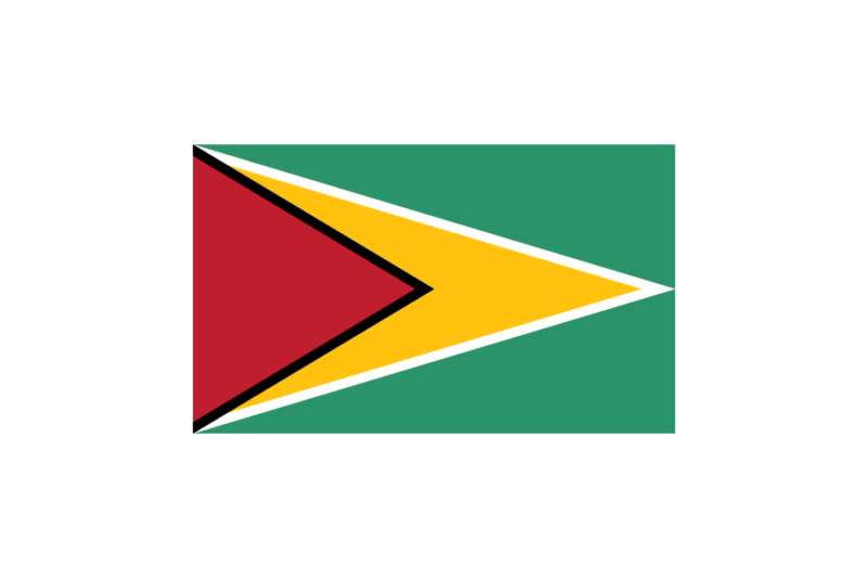 ガイアナ (Guyana)国旗のフリー素材、無料素材イラストダウンロード　ai png