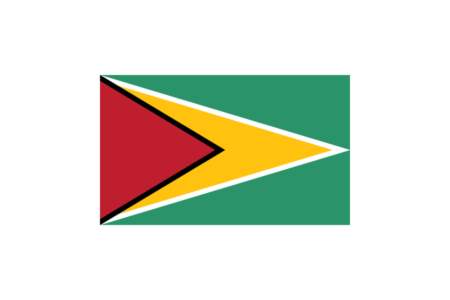 ガイアナ (Guyana)国旗のフリー素材、無料素材イラストダウンロード　ai png
