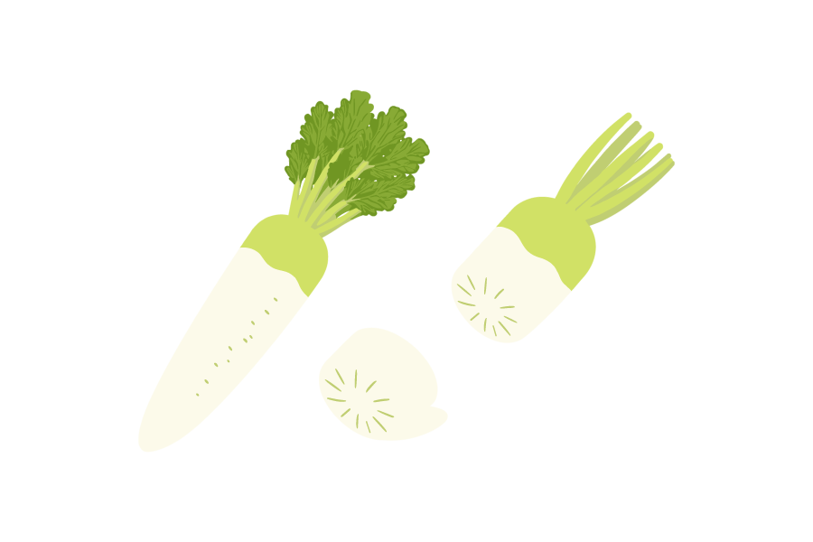 カットした大根のイラスト