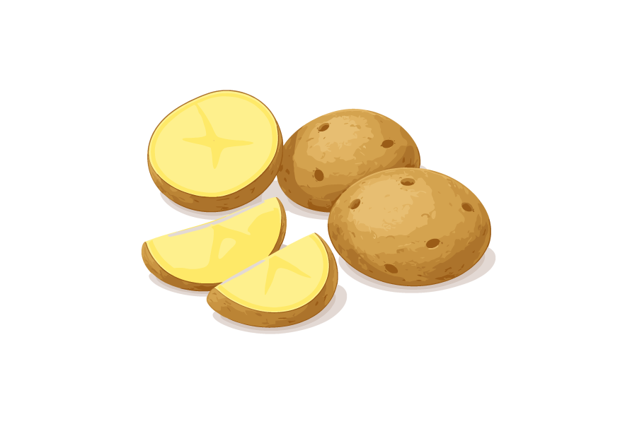 カットしたジャガイモのイラスト