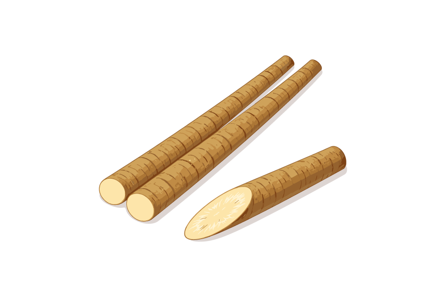 カットしたゴボウのイラスト