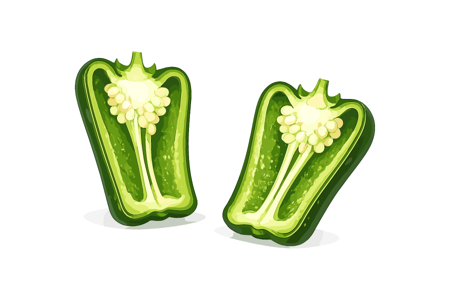 半分にカットしたピーマンのイラスト