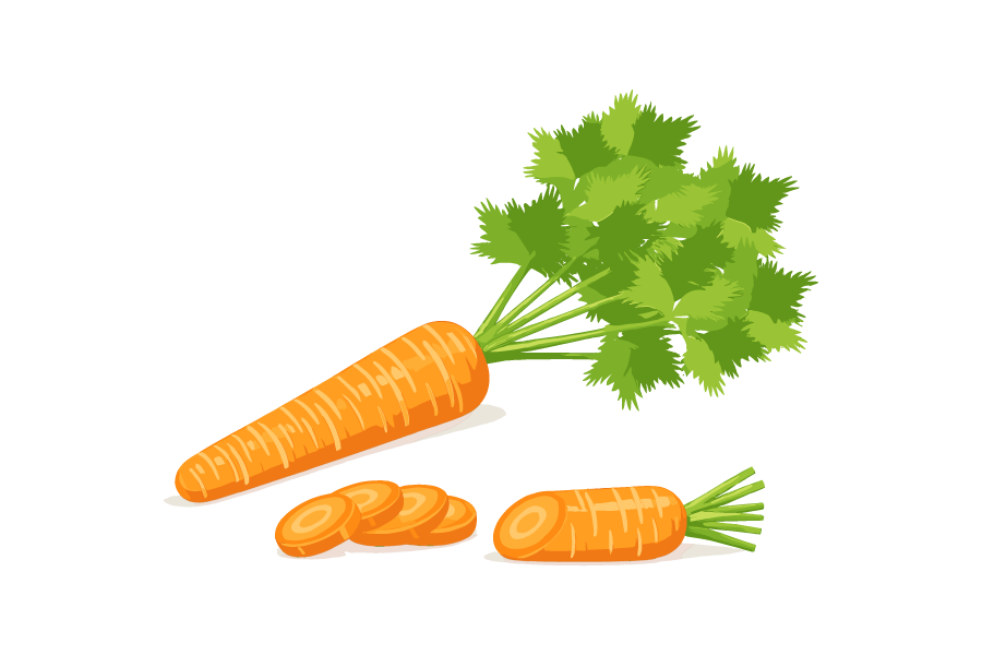 カットしたニンジンのイラスト