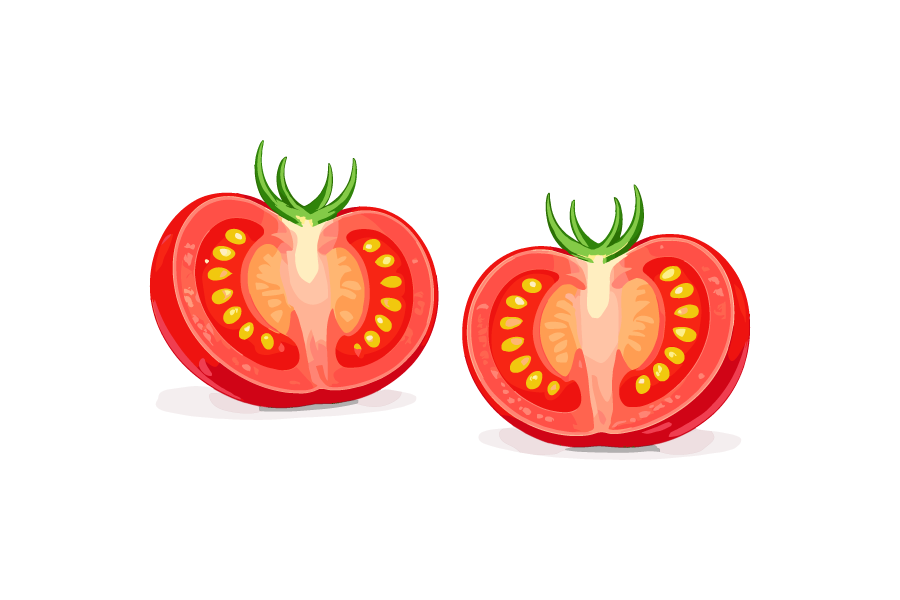 半分にカットしたトマトのイラスト