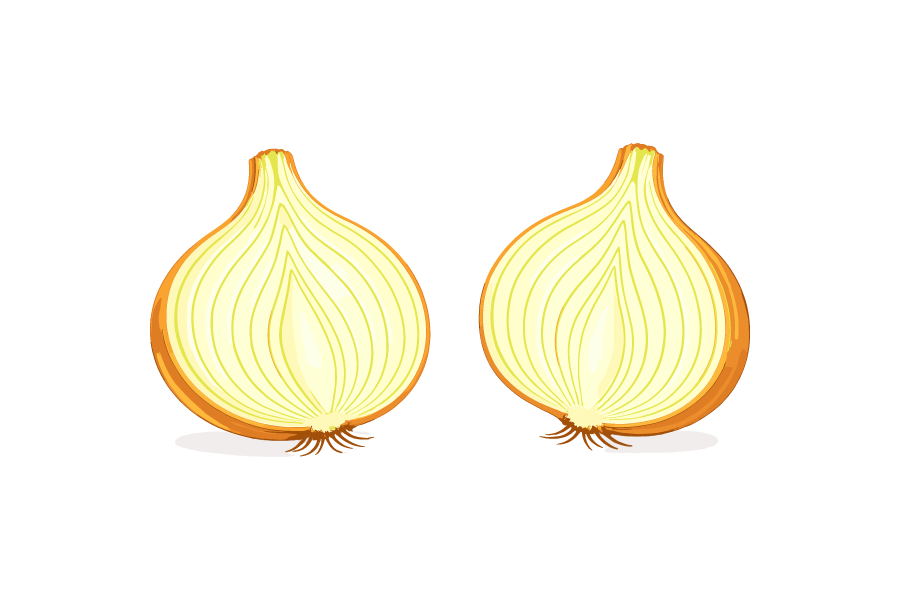 半分にカットした玉ねぎのイラスト