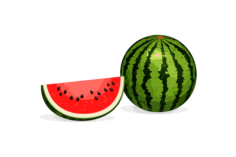 カットしたスイカのイラスト