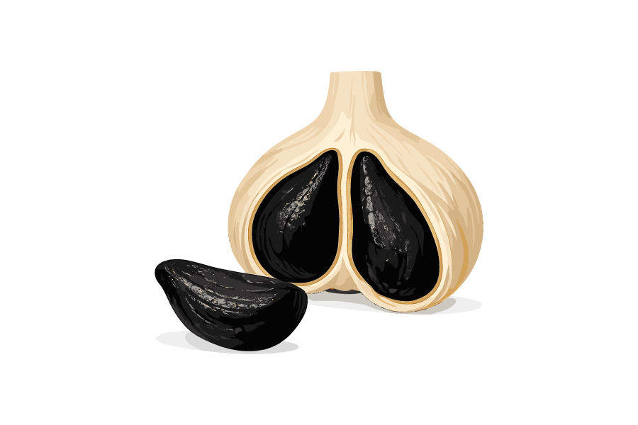 黒にんにくのイラスト