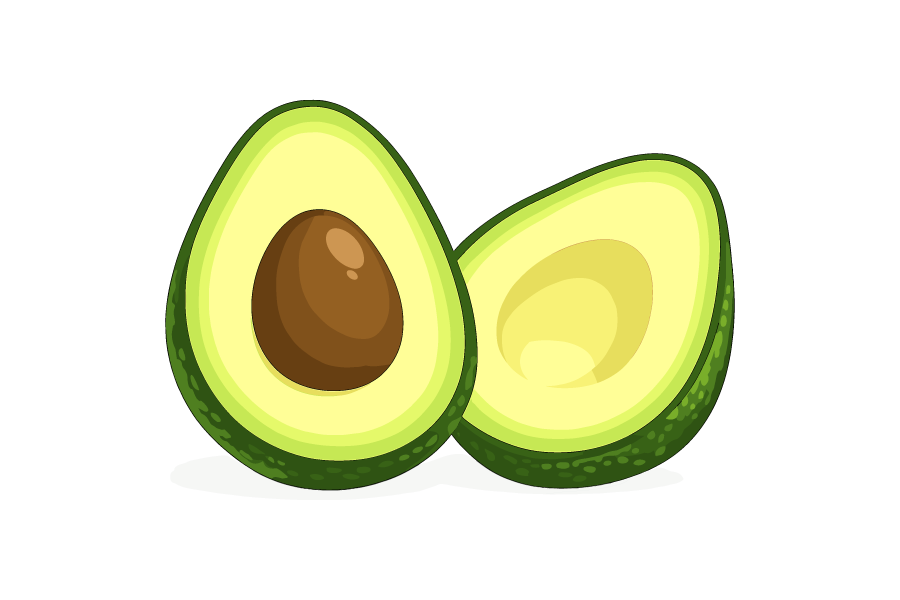 アボカドのイラスト