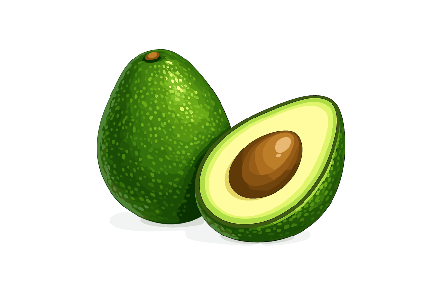 アボカドのイラスト