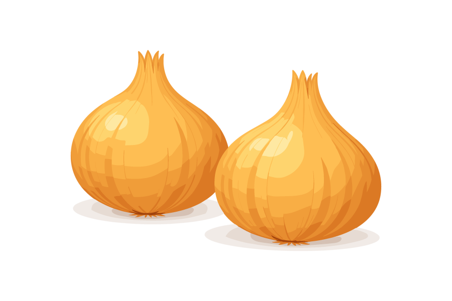 玉ねぎのイラスト