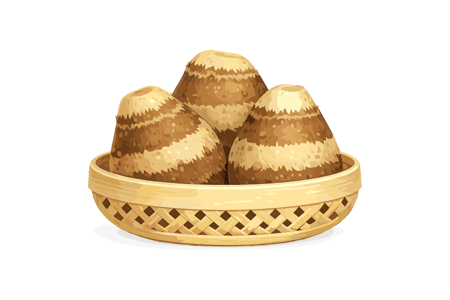 里芋のイラスト