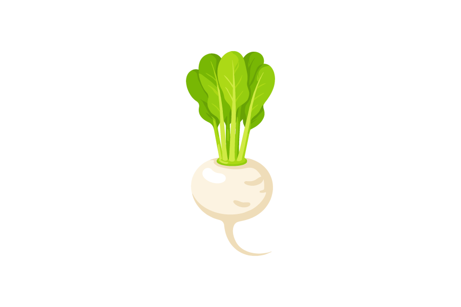 カブのイラスト