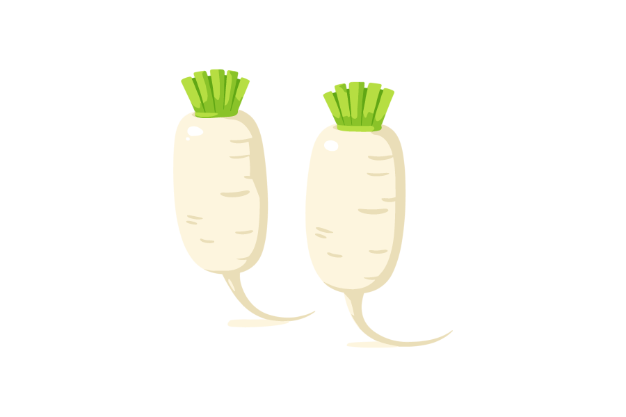 ねずみ大根のイラスト