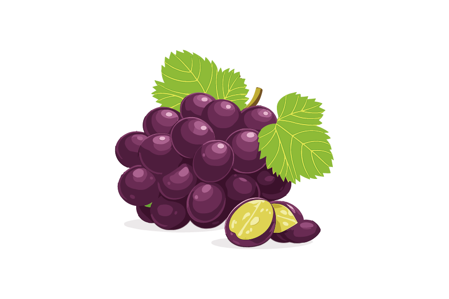 ぶどう・巨峰のイラスト