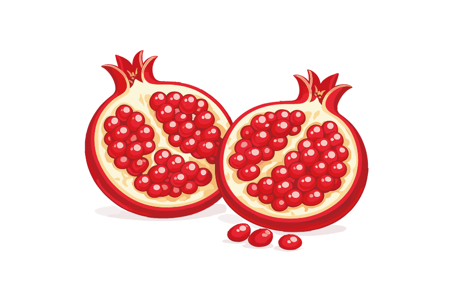 カットしたザクロのイラスト