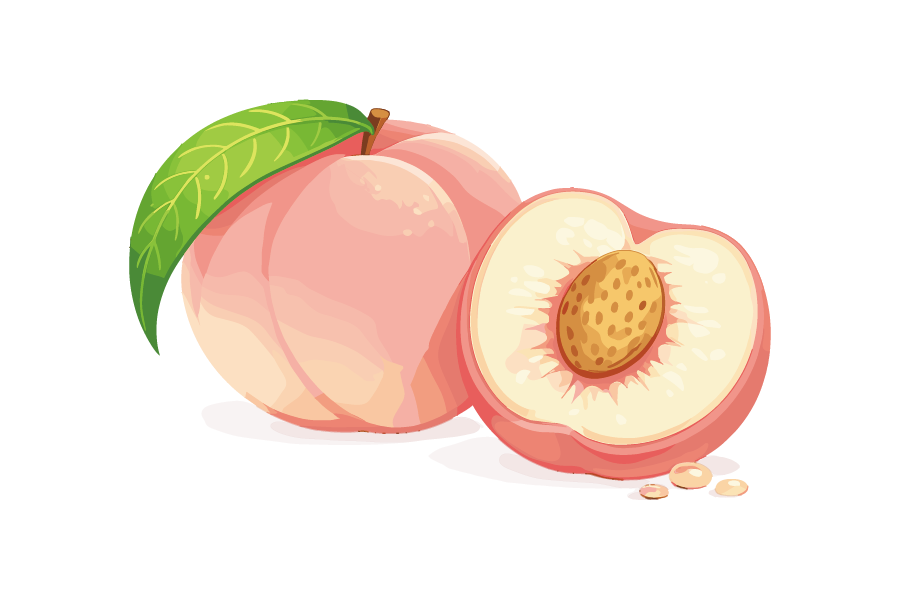 桃・ピーチのイラスト