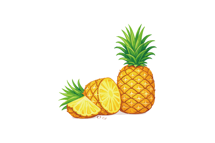 カットしたパイナップルのイラスト