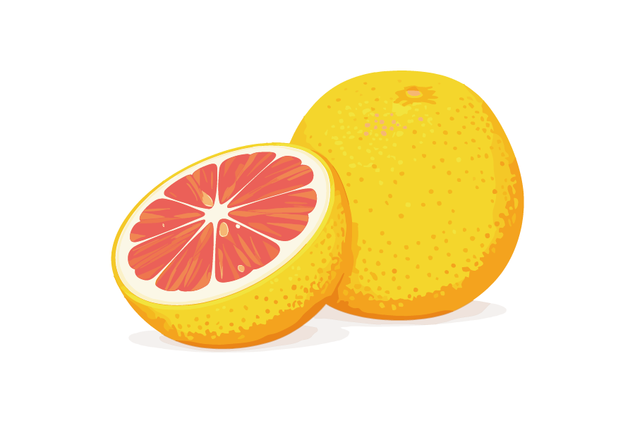 カットしたピンクグレープフルーツのイラスト