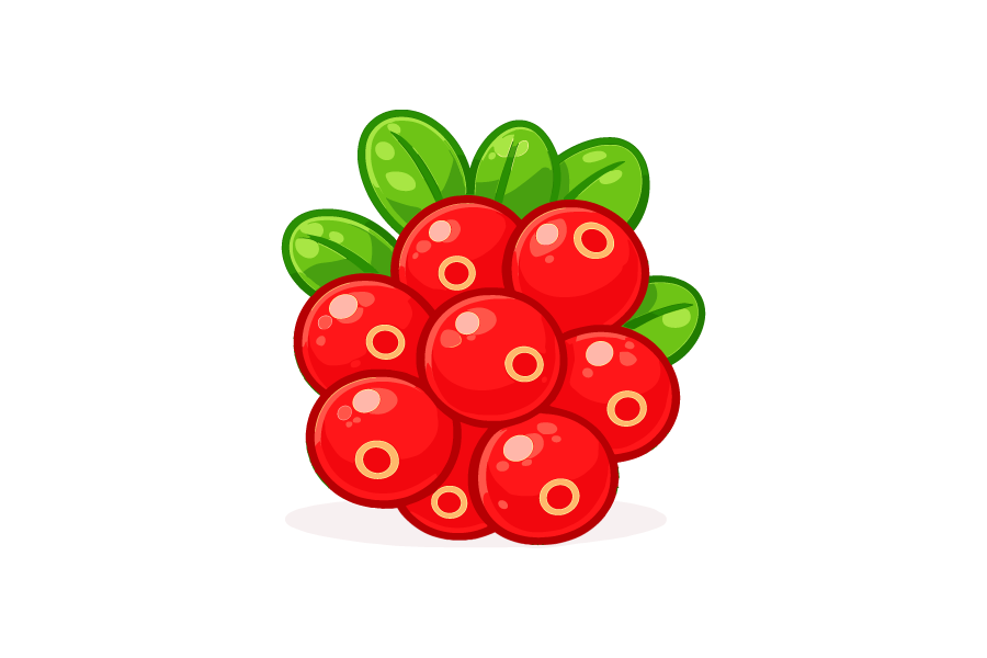 クランベリーのイラスト