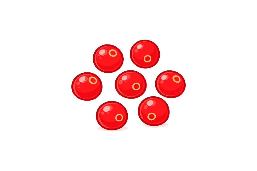 クランベリーのイラスト