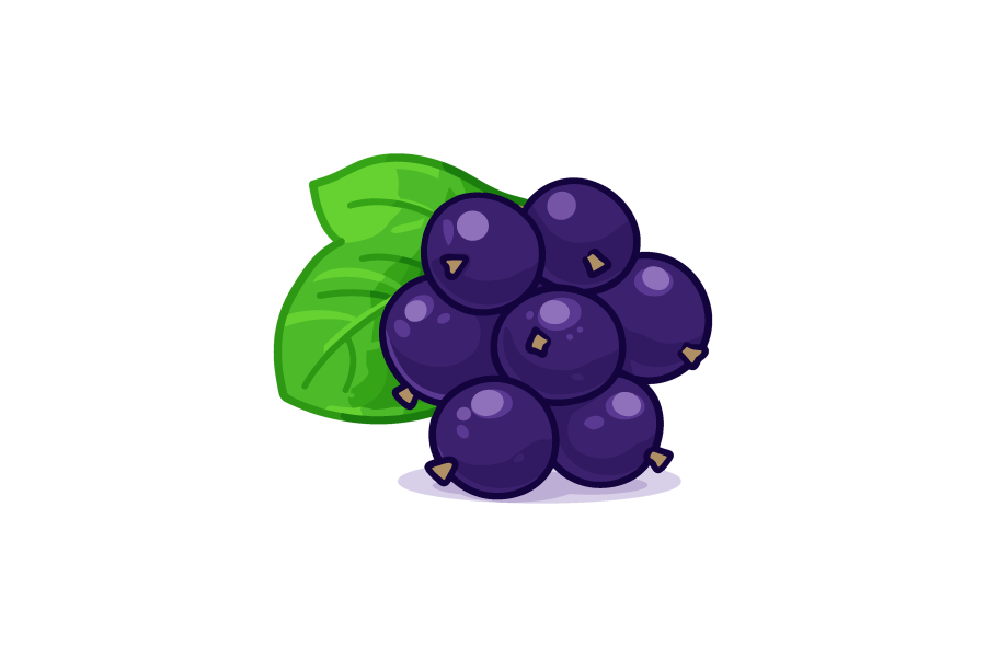 カシス（クロスグリ）のイラスト