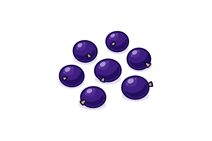 カシス（クロスグリ）のイラスト