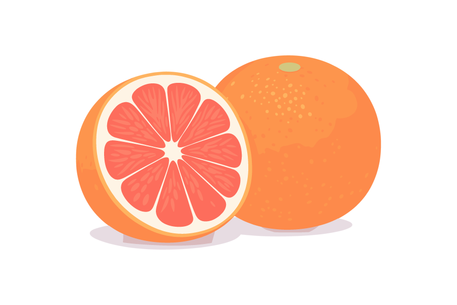 ピンクグレープフルーツのイラスト