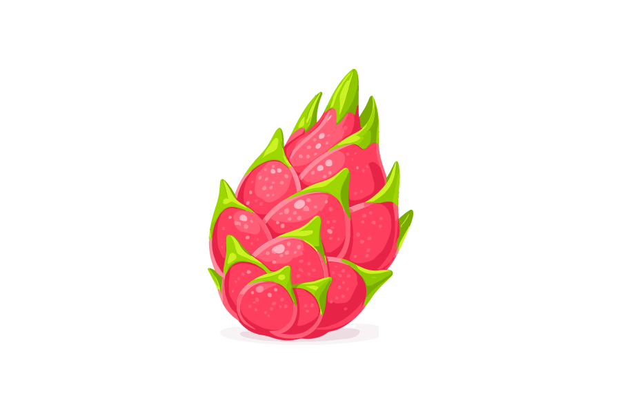 ドラゴンフルーツのイラスト