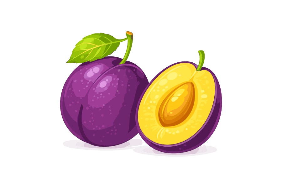 プルーンのイラスト