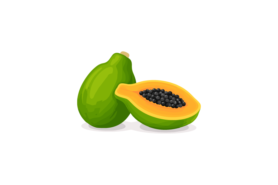 パパイヤのイラスト