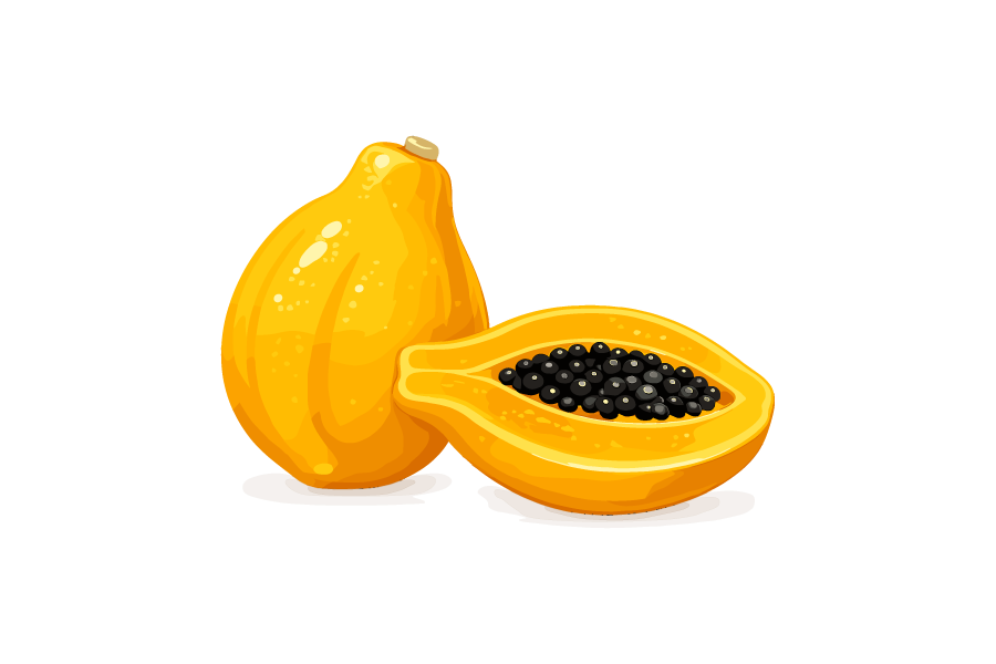 パパイヤのイラスト