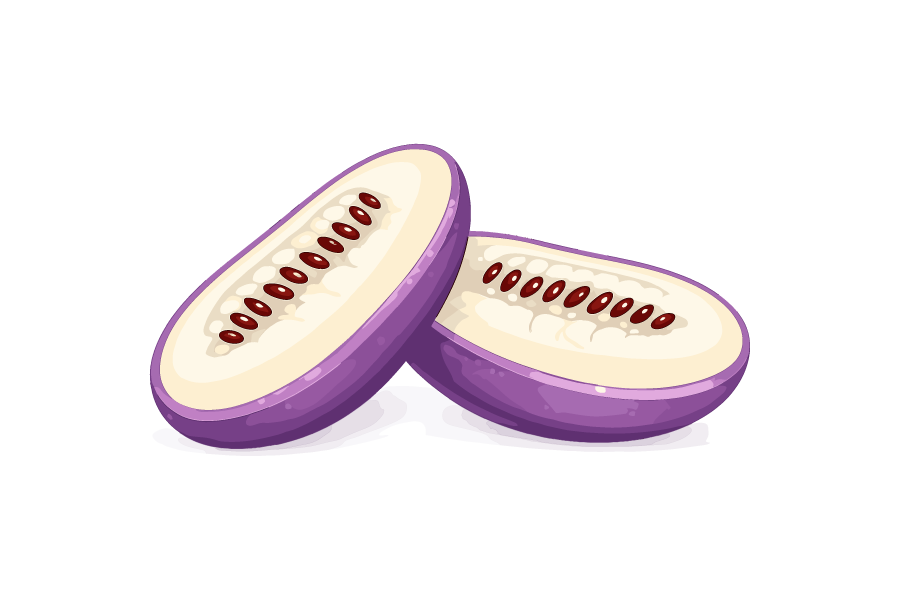 カットしたアケビのイラスト