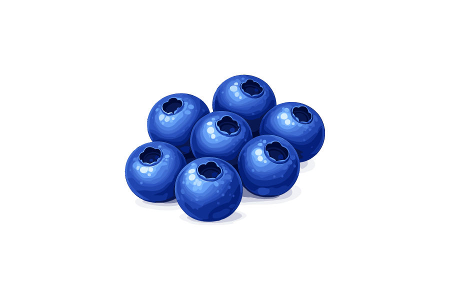 ブルーベリーのイラスト