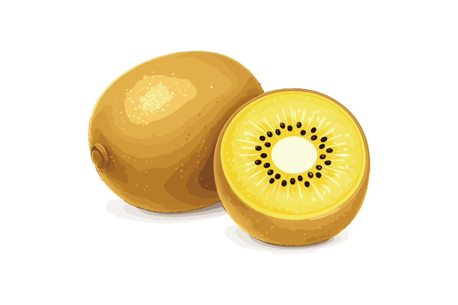 黄色いキウイフルーツのイラスト