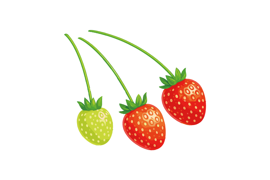 いちごのイラスト