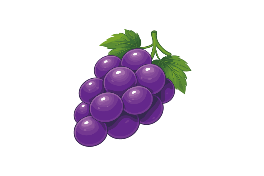 葡萄・巨峰のイラスト