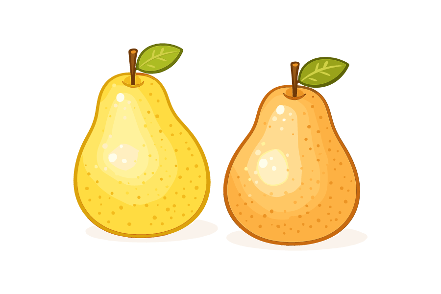 梨・果物イラスト